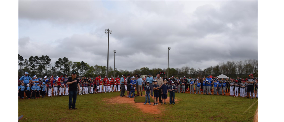 molino ballpark > Home